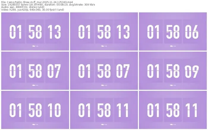 cams-ff_mur-11-24-2025-12-53-43