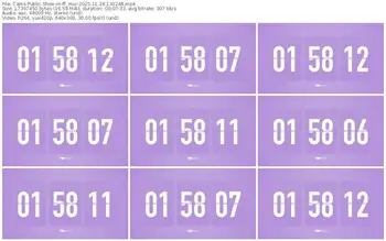 cams-ff_mur-11-24-2025-13-02-48