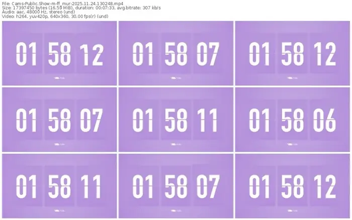 cams-ff_mur-11-24-2025-13-02-48