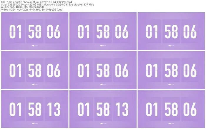 cams-ff_mur-11-24-2025-13-49-55