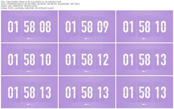 cams-ff_mur-11-24-2025-14-03-52