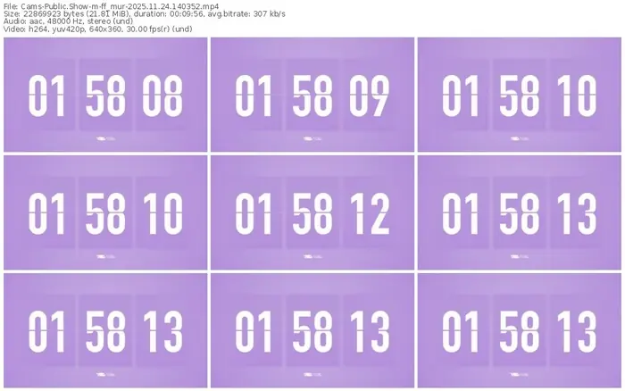 cams-ff_mur-11-24-2025-14-03-52