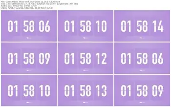 cams-ff_mur-11-24-2025-14-16-26