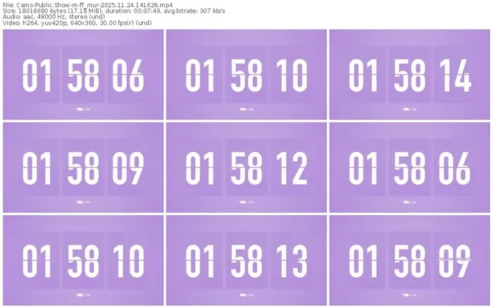 cams-ff_mur-11-24-2025-14-16-26