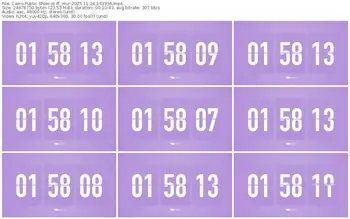 cams-ff_mur-11-24-2025-14-33-36