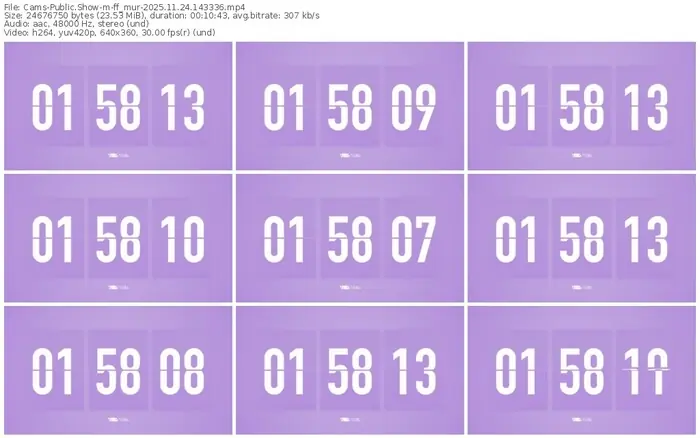 cams-ff_mur-11-24-2025-14-33-36