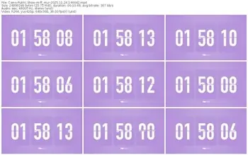 cams-ff_mur-11-24-2025-14-44-42