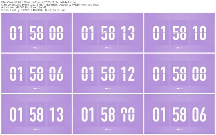 cams-ff_mur-11-24-2025-14-44-42