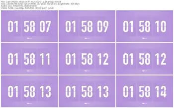 cams-ff_mur-11-24-2025-15-02-14