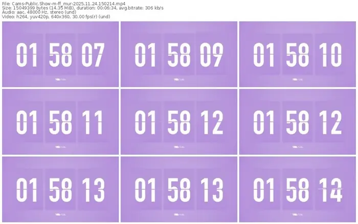 cams-ff_mur-11-24-2025-15-02-14