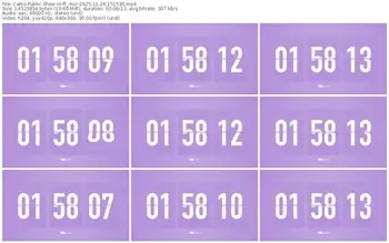 cams-ff_mur-11-24-2025-15-15-36