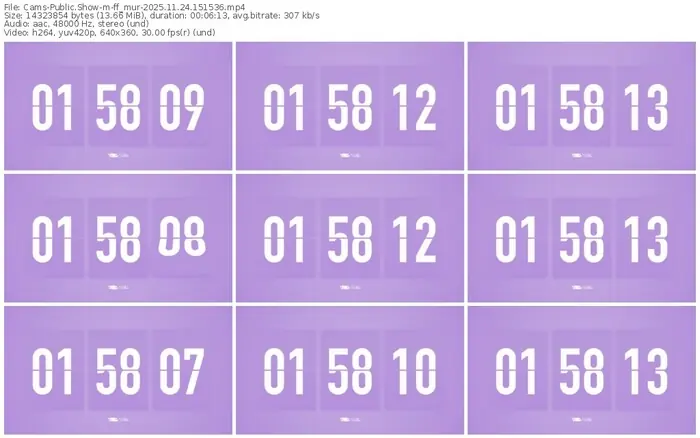 cams-ff_mur-11-24-2025-15-15-36