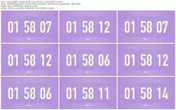 cams-ff_mur-11-24-2025-15-34-17