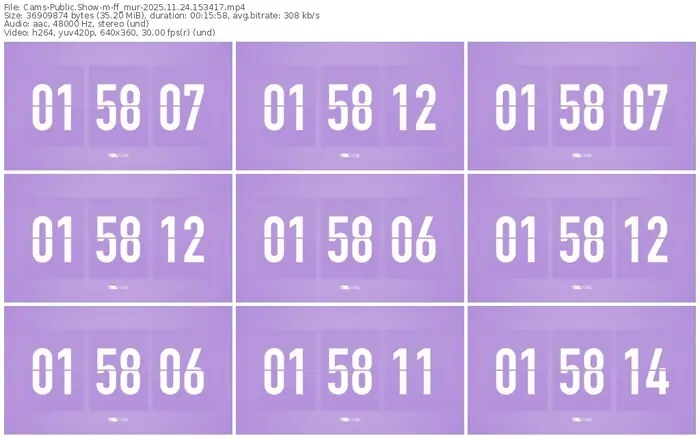 cams-ff_mur-11-24-2025-15-34-17