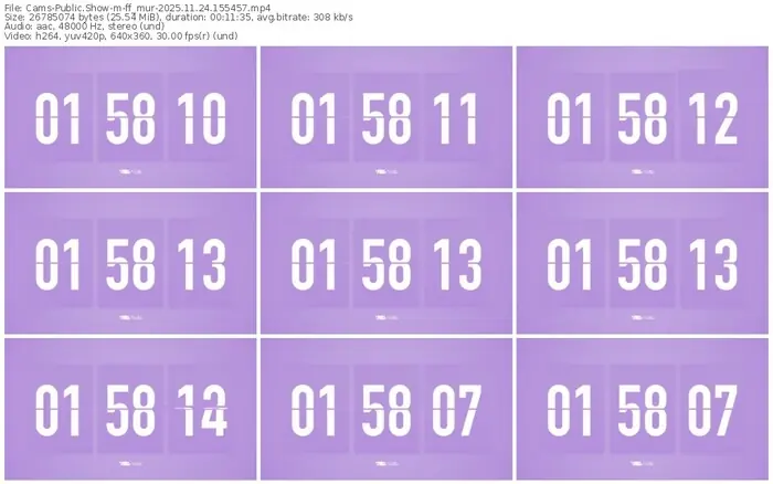 cams-ff_mur-11-24-2025-15-54-57