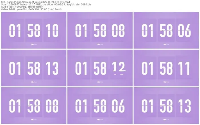 cams-ff_mur-11-24-2025-16-10-15