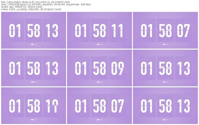 cams-ff_mur-11-24-2025-16-29-07