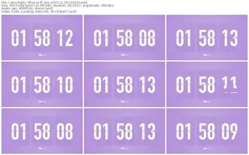 cams-ff_mur-11-24-2025-16-39-33