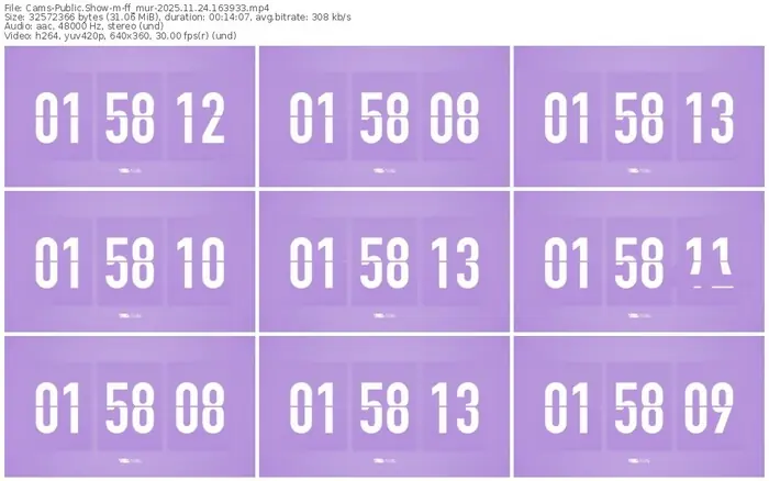 cams-ff_mur-11-24-2025-16-39-33