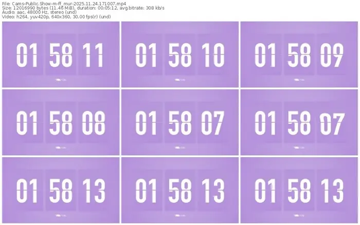 cams-ff_mur-11-24-2025-17-10-07