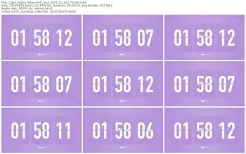 cams-ff_mur-11-24-2025-17-33-04