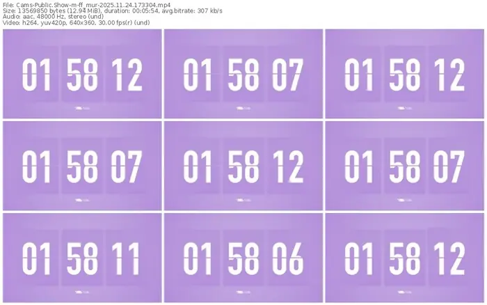 cams-ff_mur-11-24-2025-17-33-04