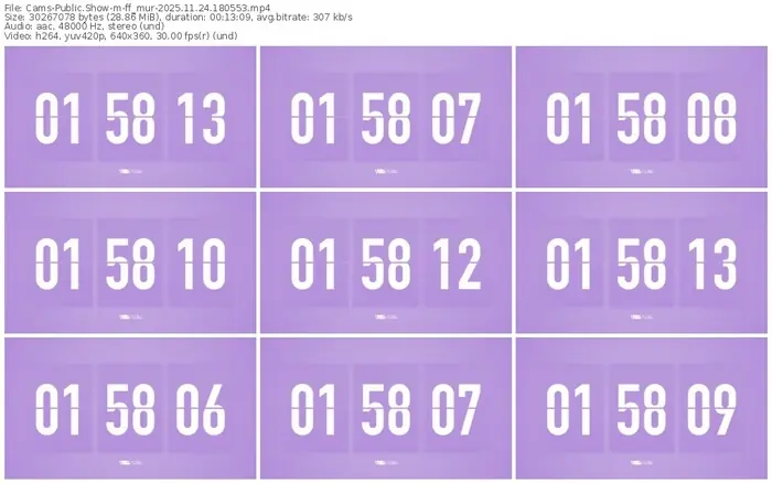 cams-ff_mur-11-24-2025-18-05-53