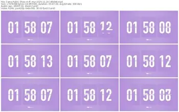 cams-ff_mur-11-24-2025-18-56-08