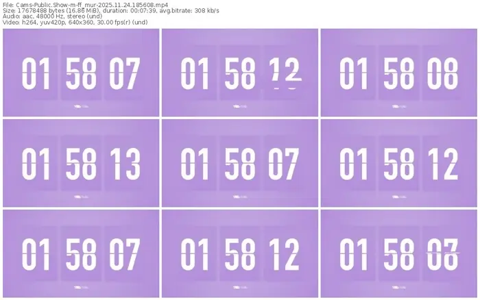 cams-ff_mur-11-24-2025-18-56-08