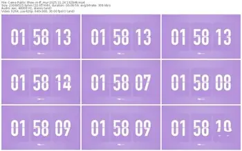 cams-ff_mur-11-24-2025-19-28-48