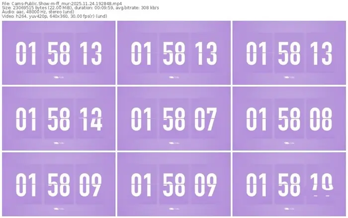 cams-ff_mur-11-24-2025-19-28-48
