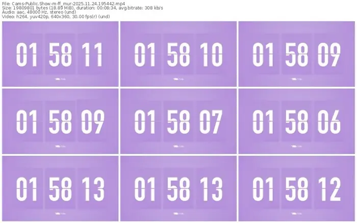 cams-ff_mur-11-24-2025-19-54-42