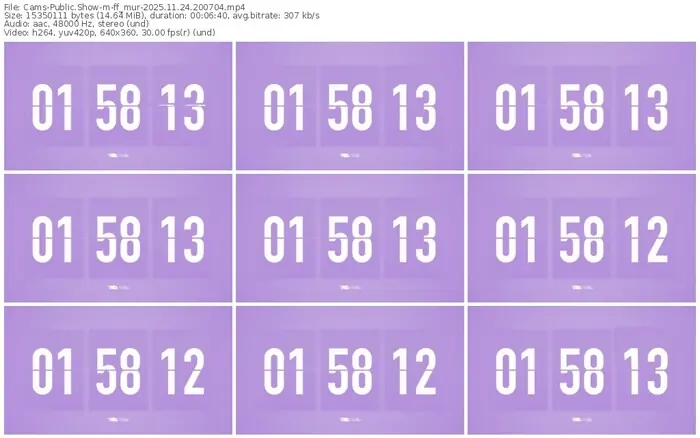 cams-ff_mur-11-24-2025-20-07-04