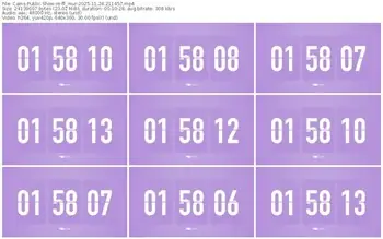 cams-ff_mur-11-24-2025-21-14-57