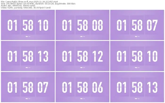 cams-ff_mur-11-24-2025-21-14-57