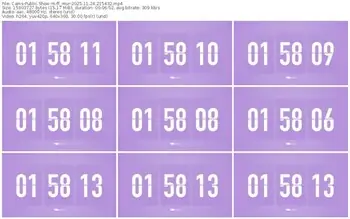 cams-ff_mur-11-24-2025-21-54-32