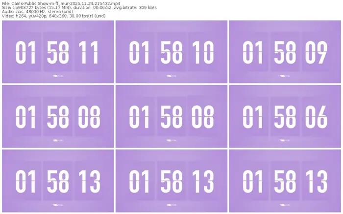 cams-ff_mur-11-24-2025-21-54-32