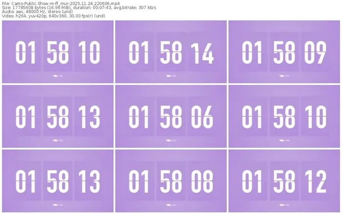 cams-ff_mur-11-24-2025-22-06-06