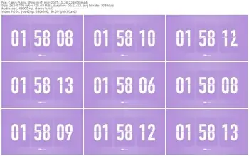 cams-ff_mur-11-24-2025-22-49-06