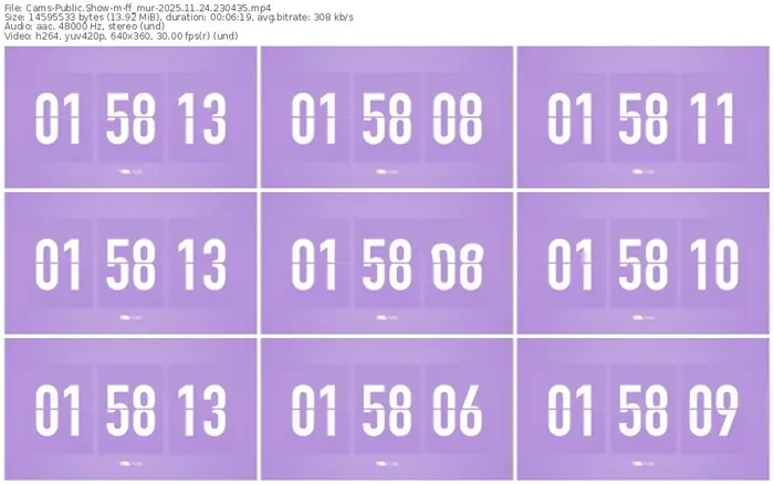 cams-ff_mur-11-24-2025-23-04-35