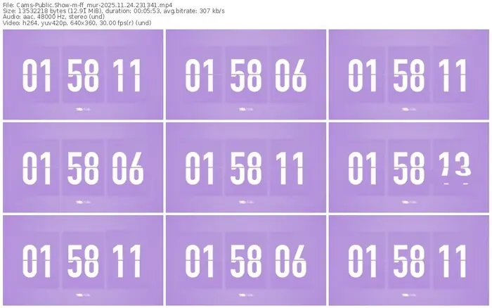 cams-ff_mur-11-24-2025-23-13-41