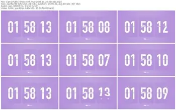 cams-ff_mur-11-24-2025-23-44-33