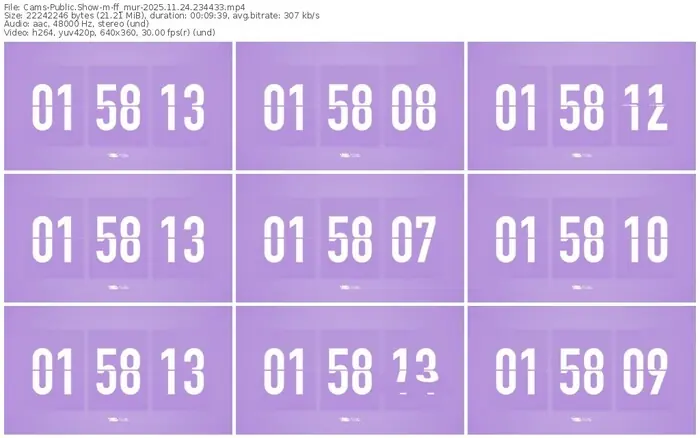 cams-ff_mur-11-24-2025-23-44-33