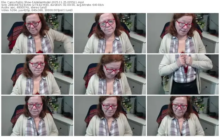 cams-adeleemodel-11-25-2025-03-55-11