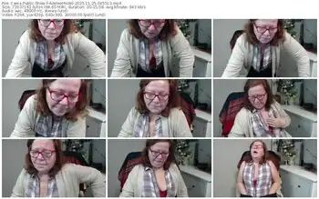 cams-adeleemodel-11-25-2025-04-55-13