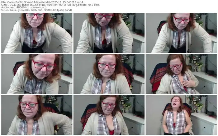 cams-adeleemodel-11-25-2025-04-55-13