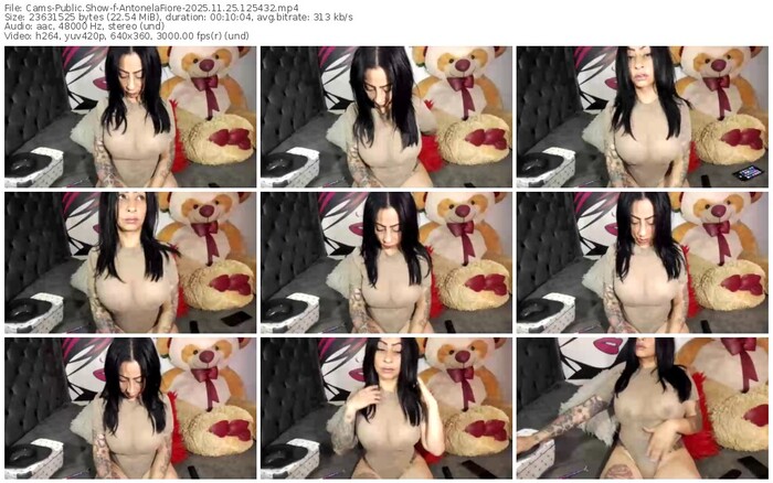 cams-antonelafiore-11-25-2025-12-54-32