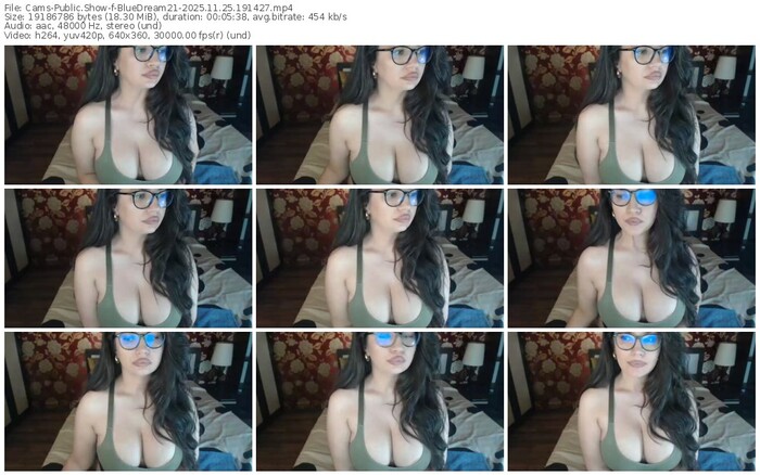 cams-bluedream21-11-25-2025-19-14-27