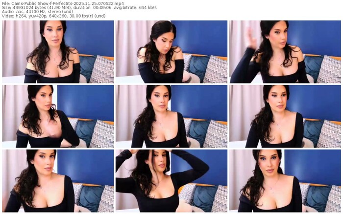 cams-perfectits-11-25-2025-07-05-22