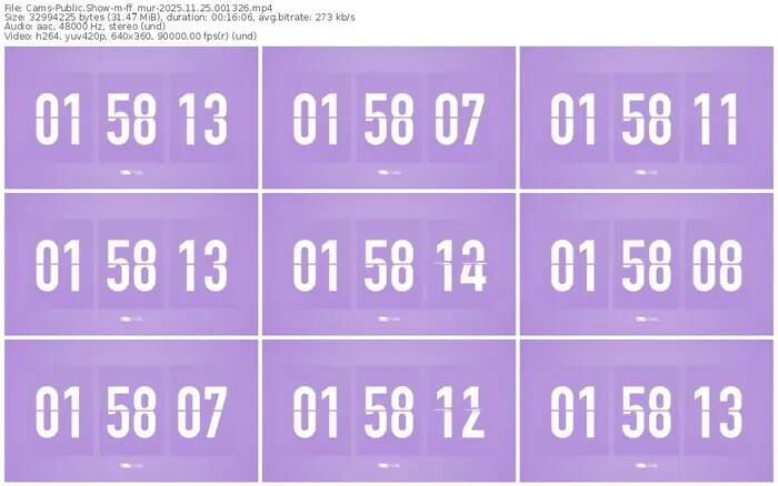 cams-ff_mur-11-25-2025-00-13-26